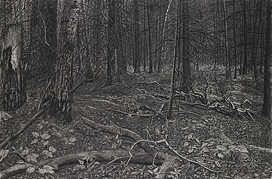 #134 ~ Harder - As Far as the Eye Can See