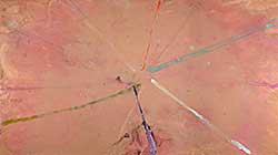 #99 ~ Feist - Much to Say