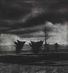 #122 ~ Goudie - Junipers Near Colinet  #7/40