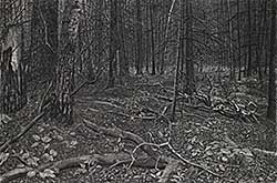 #134 ~ Harder - As Far as the Eye Can See