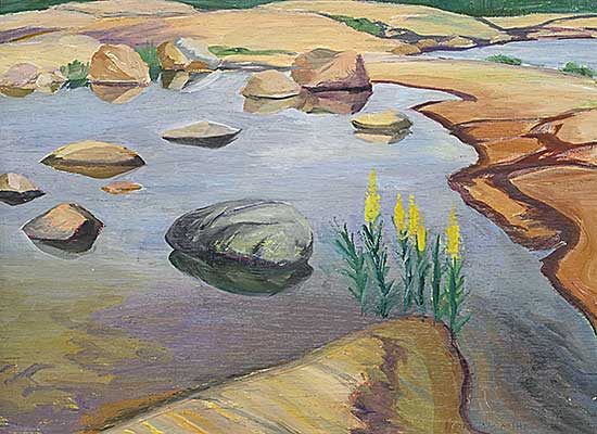 #206 ~ McCarthy - Yellow Loosestrife in Polly's Puddle