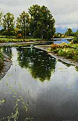 #227 ~ Muccillo - Slack Water Study