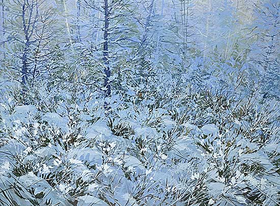 #250 ~ Parker - Winter