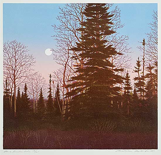 #267 ~ Pratt - Above Gander Lake  #56/65