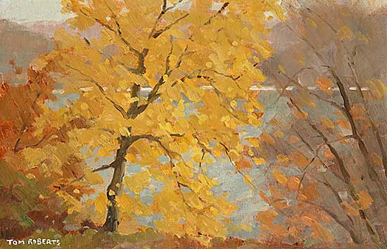 #278 ~ Roberts - Autumn, Maple Tree