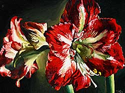 #228 ~ Nagy - Passionately Red