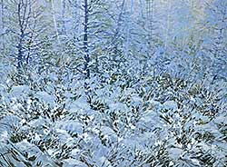 #250 ~ Parker - Winter