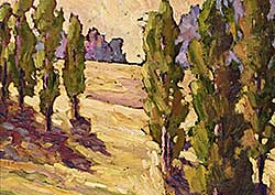 #257 ~ Pfannmuller - Tall Poplars