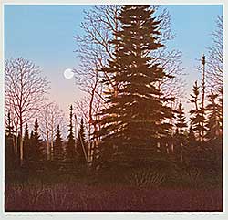 #267 ~ Pratt - Above Gander Lake  #56/65