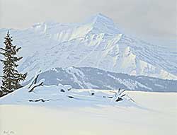 #270 ~ Raftery - Kananaskis Watershed