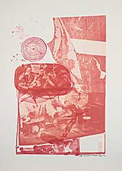 #272 ~ Rauschenberg - Ape [Stoned Moon]  #24/46