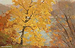 #278 ~ Roberts - Autumn, Maple Tree