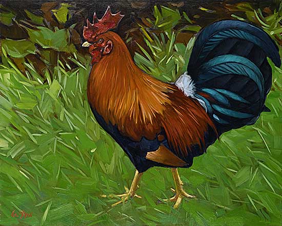 #308 ~ Shaw - Kavi Big Guy