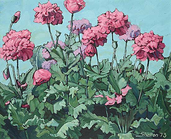 #309 ~ Shelton - Peony Poppies