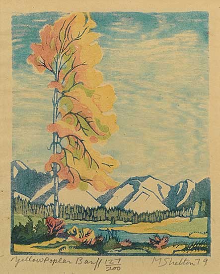 #313 ~ Shelton - Yellow Poplar, Banff  #127/200