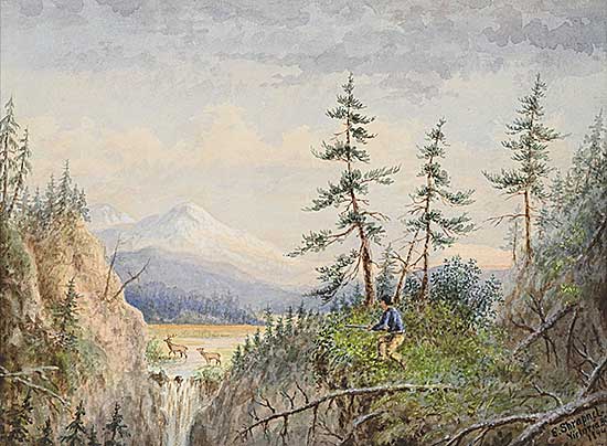 #317 ~ Shrapnel - Victoria B.C.