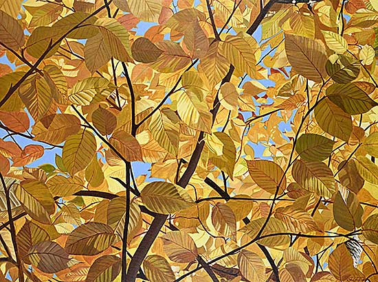 #331 ~ Stephens-Wells - Untitled - Fall Leaves