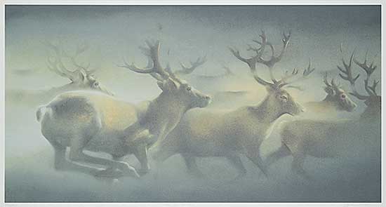 #352 ~ Udell - Over the Barrens  #92/300