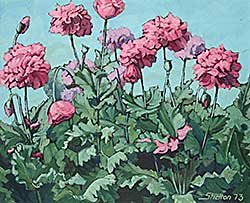 #309 ~ Shelton - Peony Poppies