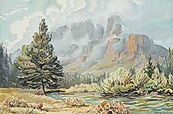 #312 ~ Shelton - Untitled - Castle Mountain