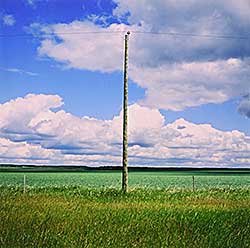 #322 ~ Singer - Pole #01  #2/7