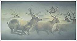 #352 ~ Udell - Over the Barrens  #92/300