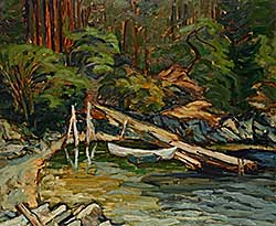 #356 ~ Vervoort - Forest and Shore, Salt Spring Island