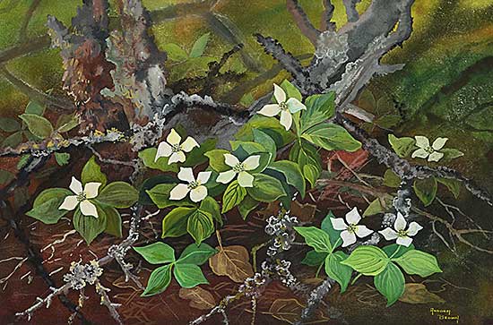 #2051 ~ Brown - Canada Dogwood