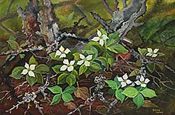 #2051 ~ Brown - Canada Dogwood