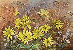 #2052 ~ Brown - Untitled - Perennial Sunflowers