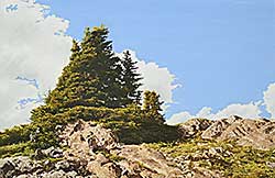 #2068 ~ Camping - Summer Day, Wilcox Meadows