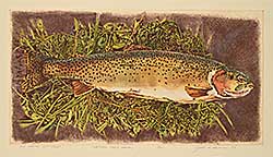 #2081 ~ Cowin - High Country Cutthroat [Western Trout Series]  #15/15
