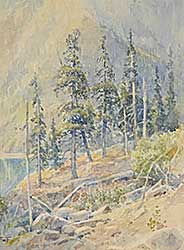 #2130 ~ Fripp - Anderson Lake