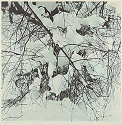 #2144 ~ Gouin - Fallen Branch in the Snow  #14/20
