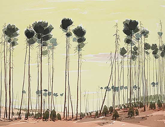 #2216 ~ Lindoe - Untitled - Tall Trees