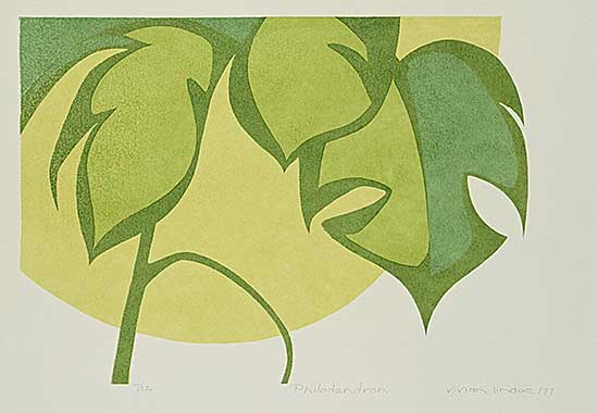 #2219 ~ Lindoe - Philodendron  #7/12