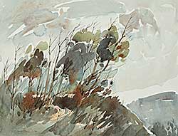 #2215 ~ Lindoe - Untitled - Forest Breeze
