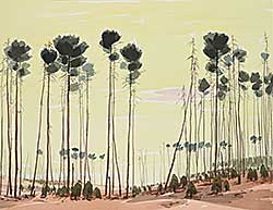 #2216 ~ Lindoe - Untitled - Tall Trees