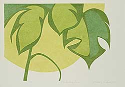 #2219 ~ Lindoe - Philodendron  #7/12