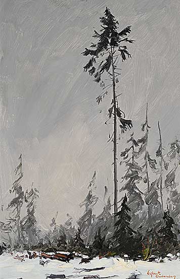 #2288 ~ Oudendag - Stanley Park, Winter