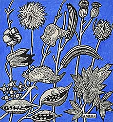 #2274 ~ Nicoll - Untitled - Seed Pods