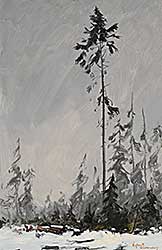 #2288 ~ Oudendag - Stanley Park, Winter