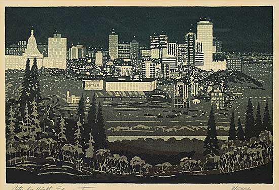 #2392 ~ Weber - City by Night, Edmonton