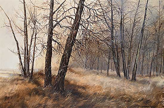 #2401 ~ Wong - Untitled - Serenity in Fish Creek