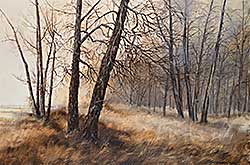 #2401 ~ Wong - Untitled - Serenity in Fish Creek