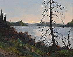 #2406 ~ Wood - Spring Pine
