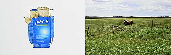 #1002 ~ Bartol - A Woman Walking [the City Limits], Township Road 261A  #3/3
