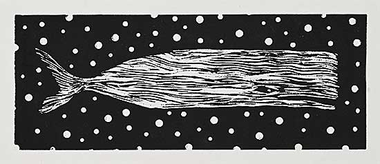 #1031 ~ McKinnon - WHALE