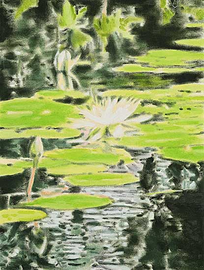 #1055 ~ Wollman - Lily Study [at Dusk]