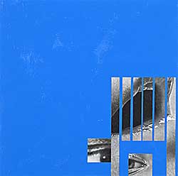 #1011 ~ Dyck - Larkspur